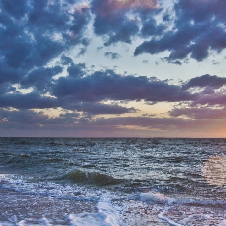 نهال معشوق